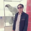 香山红叶的头像