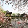 黄昏与夕阳同行的头像