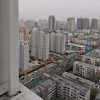 将我释怀吧的头像