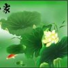 我爱我家的头像