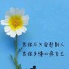 TY的头像
