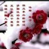 傲雪寒梅的头像