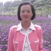 化身为海的头像
