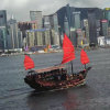 丽丽的头像