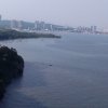 雨萱姥姥）的头像