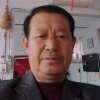 老马的头像