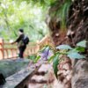 视野之外的头像