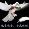天涯的头像