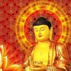 高永刚18804593475的头像