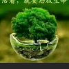 其融的头像
