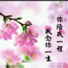 平安的头像