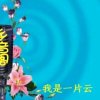 我是一片云的头像