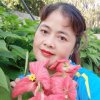 春暖花开的头像