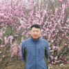 迟再新的头像