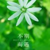 年青的心的头像