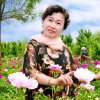 杜鹃花的头像