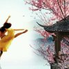 莉沙的头像