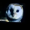牵挂(忙暂退)的头像