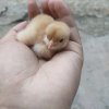 小刘的头像