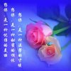 凡心（暂退）的头像