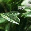 雨天的头像