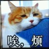 大嘴的头像