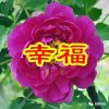 幸福一生的头像