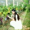 梧桐《幽灵》的头像
