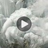 金玉良缘的头像