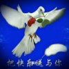 @常想的头像