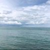 默（退）的头像