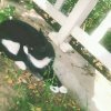 花无缺的头像