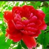 韓春暖花开[管理]的头像
