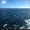 海洋的头像