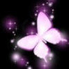 蝴蝶飞飞的头像