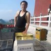 铁骨柔情的头像