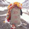花海的头像