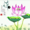 瑞声风华的头像