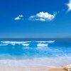 小lisa的头像
