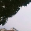 华容道的头像