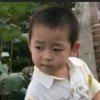 晚秋的头像