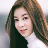 选择的头像