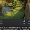 痛苦的心的头像