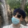 秋风未闻桃花的头像