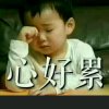 纵横四海的头像