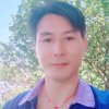 真爱无悔的头像