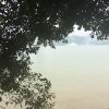 靜心的头像