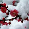 【玖月】天 （有访必回）的头像