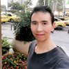 自由如风的头像