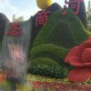 凤凰传奇的头像